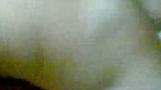 Kurba je na kolenih sesa tiča