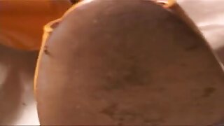 Belo dekle se trese v rit