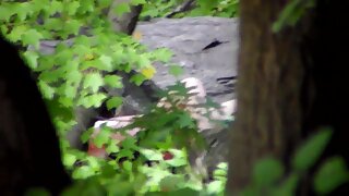 Super vroča blondinka busty MILF se je zabila