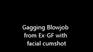 Honey se igra s svojo muco