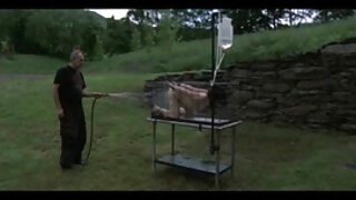 Busty chick se sleče gola