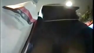 Lepa punca sesa tiča