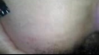 Umazana kurba udarila v rit