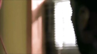 Maskirana kurba sesa tiča