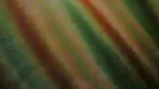 Rjavolaska draži svojo muco