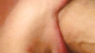 Najstnica sesa velikega tiča