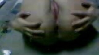 Rjavolaska masira kura