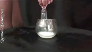 Dolgolasa rjavolaska se hrani s tičem