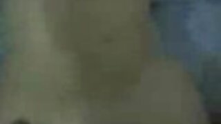 Kurba s krokarskimi lasmi liže tiča